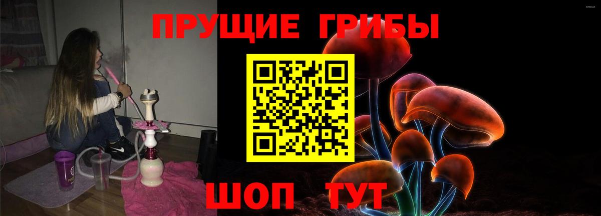 Псилоцибиновые грибы мухоморы  Псилоцибиновые грибы прущие грибы  Нижний Новгород  где купить   Вход с VPN 
